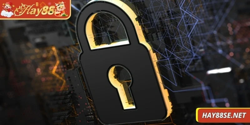 chinh-sach-bao-mat-qua-trinh-thu-thap-du-lieu