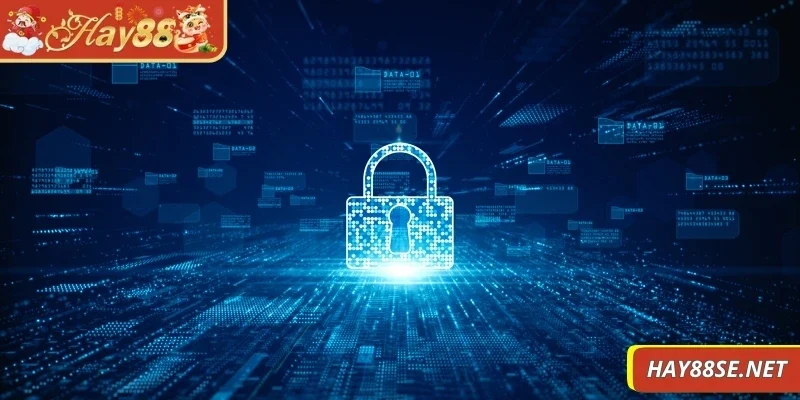 chinh-sach-bao-mat-viec-su-dung-du-lieu-khach-hang