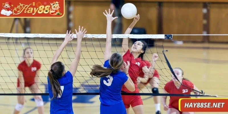 cmd368-sports-bo-mon-bong-chuyen