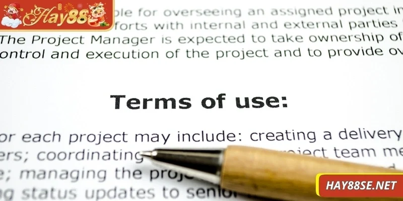 dieu-khoan-su-dung-tim-hieu-so-bo