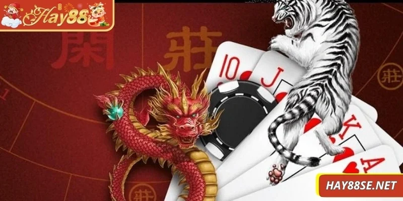 luat-choi-rong-ho-tim-hieu-thong-tin