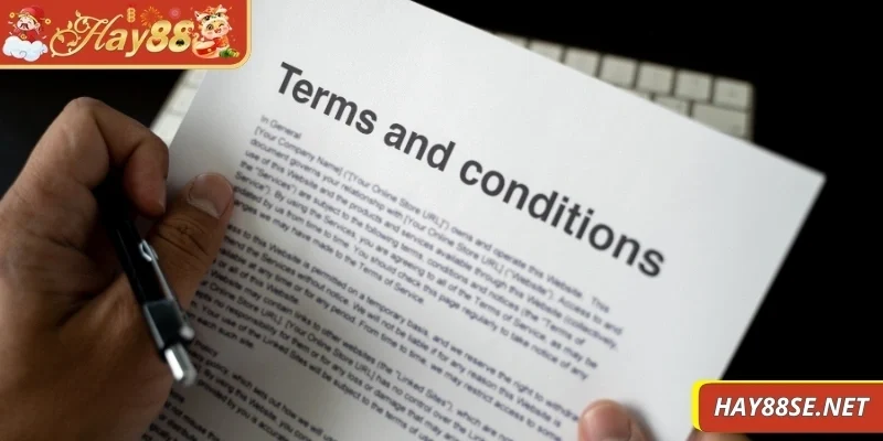 mien-tru-trach-nhiem-cap-nhat-noi-dung