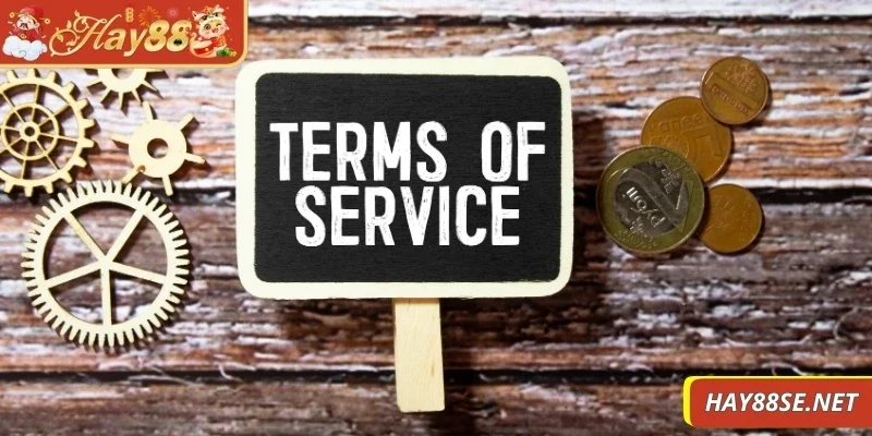 mien-tru-trach-nhiem-nghia-vu-nguoi-dung