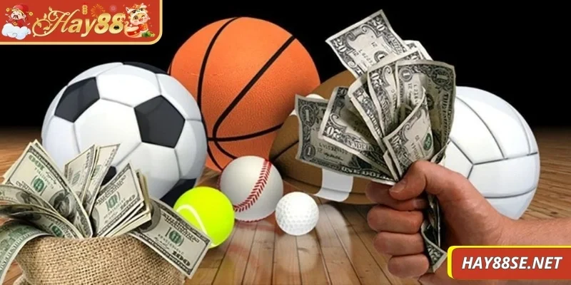 the-thao-hay88-du-doan-tong-diem-chinh-xac