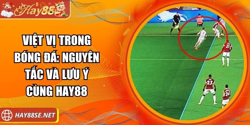 viet-vi-trong-bong-da